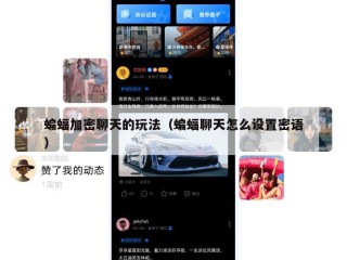 蝙蝠加密聊天的玩法（蝙蝠聊天怎么设置密语）