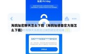 海鸥加密聊天怎么下载（海鸥加速器官方版怎么下载）