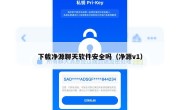 下载净源聊天软件安全吗（净源v1）