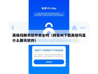 英格码聊天软件安全吗（网友叫下载英格玛是什么聊天软件）