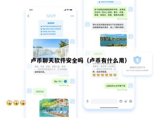 卢币聊天软件安全吗（卢币有什么用）