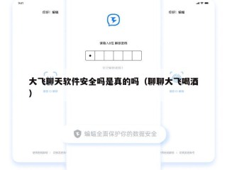 大飞聊天软件安全吗是真的吗（聊聊大飞喝酒）