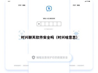 时兴聊天软件安全吗（时兴啥意思）