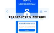 下载烟花聊天软件安全吗（帮我下载烟花）