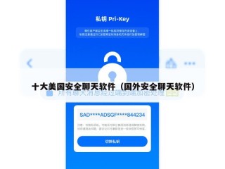 十大美国安全聊天软件（国外安全聊天软件）