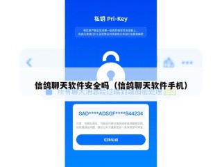 信鸽聊天软件安全吗（信鸽聊天软件手机）