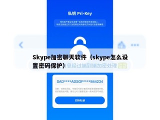 Skype加密聊天软件（skype怎么设置密码保护）