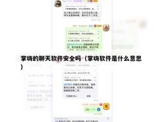 掌嗨的聊天软件安全吗（掌嗨软件是什么意思）