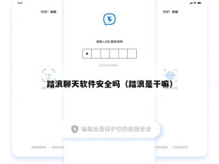 踏浪聊天软件安全吗（踏浪是干嘛）