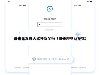 锋哥交友聊天软件安全吗（峰哥聊电商专栏）