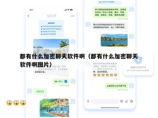 都有什么加密聊天软件啊（都有什么加密聊天软件啊图片）
