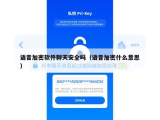 语音加密软件聊天安全吗（语音加密什么意思）