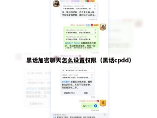 黑话加密聊天怎么设置权限（黑话cpdd）