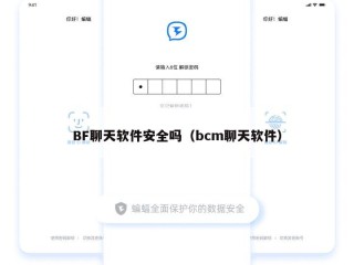 BF聊天软件安全吗（bcm聊天软件）