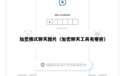 加密模式聊天图片（加密聊天工具有哪些）