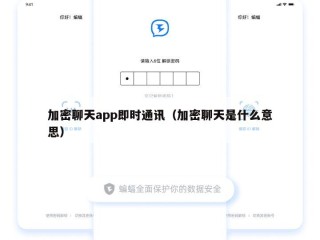 加密聊天app即时通讯（加密聊天是什么意思）