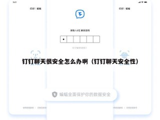 钉钉聊天很安全怎么办啊（钉钉聊天安全性）