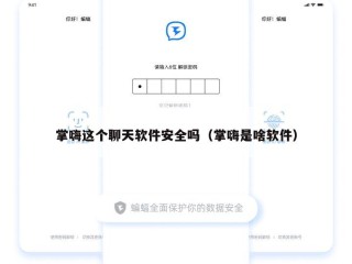 掌嗨这个聊天软件安全吗（掌嗨是啥软件）