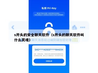 s开头的安全聊天软件（s开头的聊天软件叫什么灵魂）