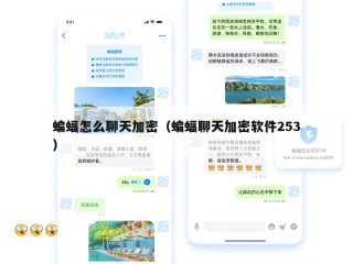 蝙蝠怎么聊天加密（蝙蝠聊天加密软件253）