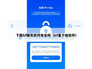 下载bf聊天软件安全吗（bf是个啥软件）