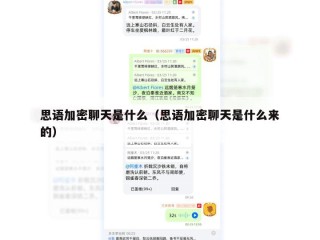 思语加密聊天是什么（思语加密聊天是什么来的）