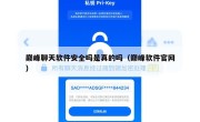 巅峰聊天软件安全吗是真的吗（巅峰软件官网）