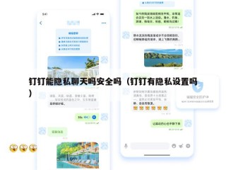 钉钉能隐私聊天吗安全吗（钉钉有隐私设置吗）