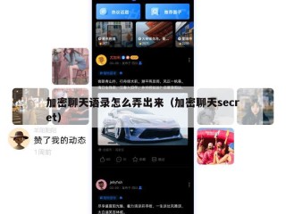 加密聊天语录怎么弄出来（加密聊天secret）