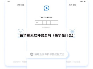 蓓华聊天软件安全吗（蓓华是什么）