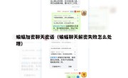 蝙蝠加密聊天密语（蝙蝠聊天解密失败怎么处理）