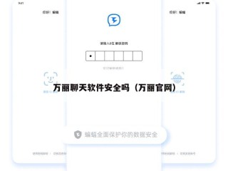 万丽聊天软件安全吗（万丽官网）