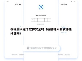 夜猫聊天这个软件安全吗（夜猫聊天的软件能挣钱吗）