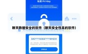聊天数据安全的软件（聊天安全性高的软件）