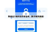 数语这个聊天软件安全吗（数字聊天用语）