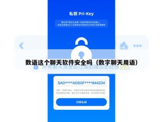数语这个聊天软件安全吗（数字聊天用语）