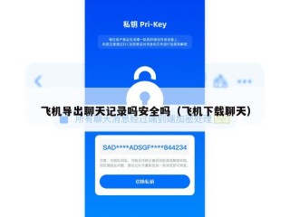 飞机导出聊天记录吗安全吗（飞机下载聊天）