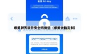娜美聊天软件安全吗微信（娜美微信定制）