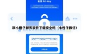 跟小橙子聊天软件下载安全吗（小橙子微信）