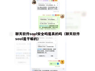 聊天软件soul安全吗是真的吗（聊天软件soul是干嘛的）