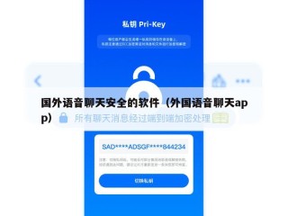 国外语音聊天安全的软件（外国语音聊天app）