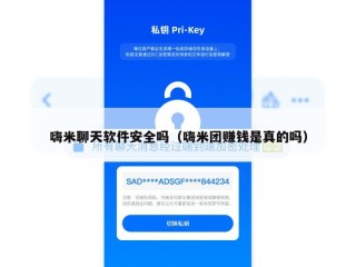 嗨米聊天软件安全吗（嗨米团赚钱是真的吗）