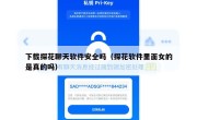 下载探花聊天软件安全吗（探花软件里面女的是真的吗）
