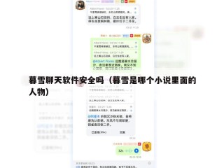 暮雪聊天软件安全吗（暮雪是哪个小说里面的人物）