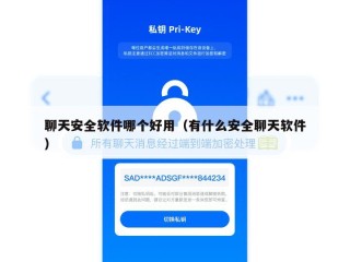 聊天安全软件哪个好用（有什么安全聊天软件）