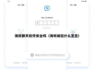 海吹聊天软件安全吗（海吹胡侃什么意思）