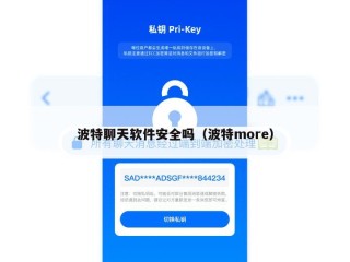 波特聊天软件安全吗（波特more）