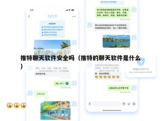 推特聊天软件安全吗（推特的聊天软件是什么）