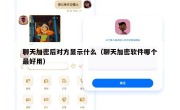 聊天加密后对方显示什么（聊天加密软件哪个最好用）