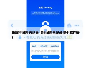 无痕拼图聊天记录（拼图聊天记录哪个软件好）